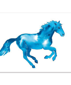 Turquoise Pony