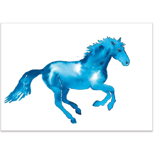 Turquoise Pony